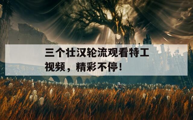 三个壮汉轮流观看特工视频，精彩不停！