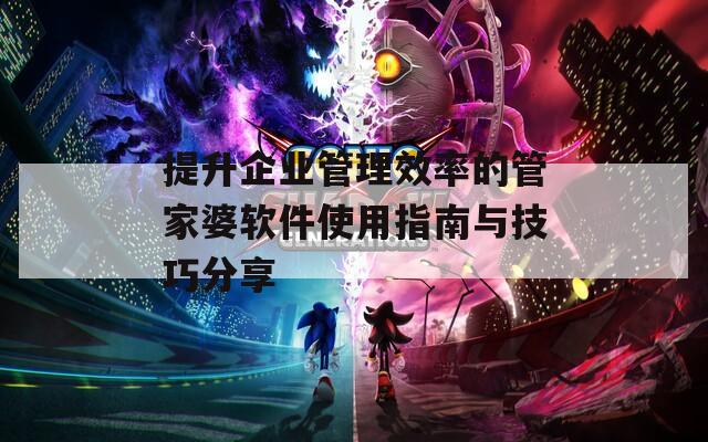 提升企业管理效率的管家婆软件使用指南与技巧分享