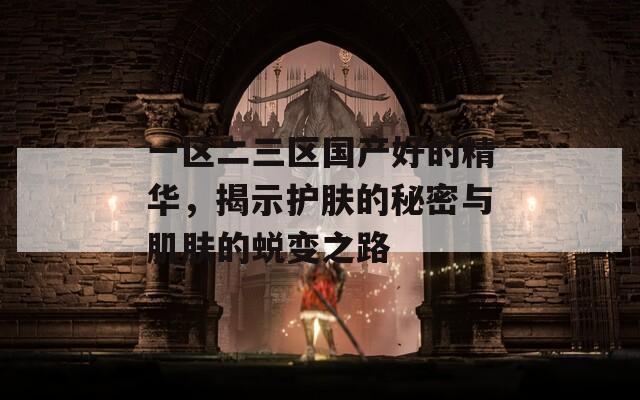 一区二三区国产好的精华，揭示护肤的秘密与肌肤的蜕变之路