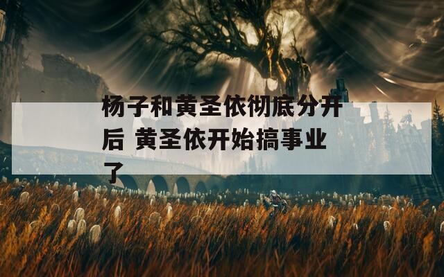 杨子和黄圣依彻底分开后 黄圣依开始搞事业了
