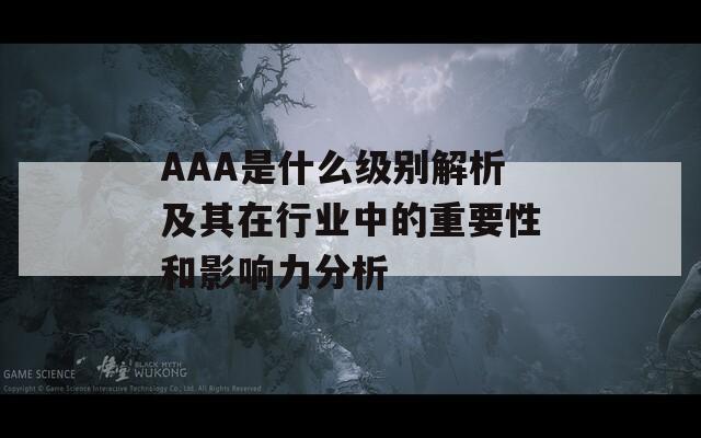 AAA是什么级别解析及其在行业中的重要性和影响力分析