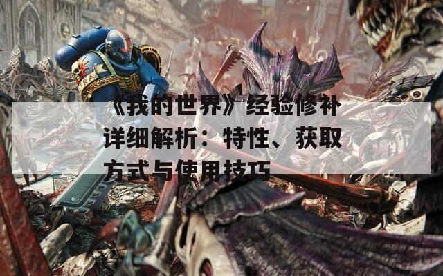 《我的世界》经验修补详细解析：特性、获取方式与使用技巧