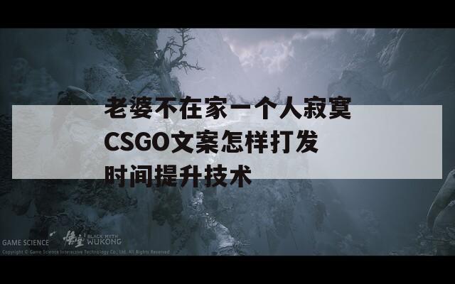 老婆不在家一个人寂寞CSGO文案怎样打发时间提升技术