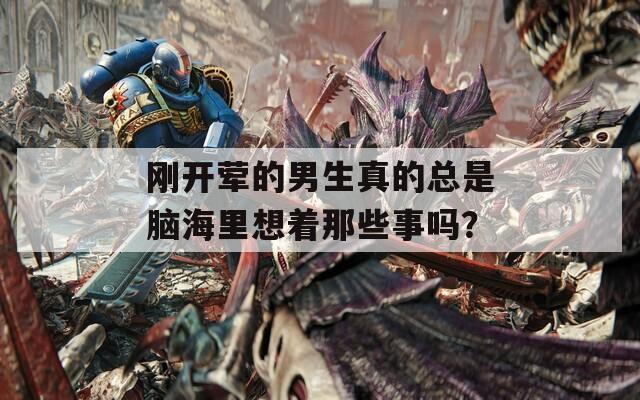 刚开荤的男生真的总是脑海里想着那些事吗？