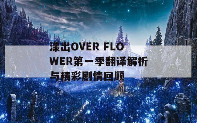 漾出OVER FLOWER第一季翻译解析与精彩剧情回顾