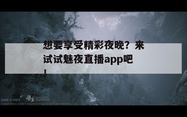 想要享受精彩夜晚？来试试魅夜直播app吧！
