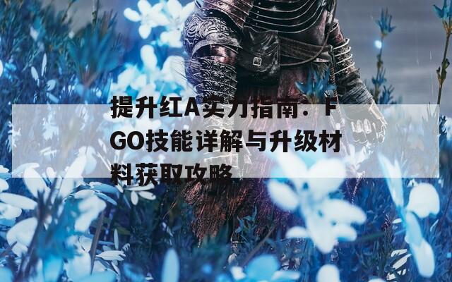 提升红A实力指南：FGO技能详解与升级材料获取攻略