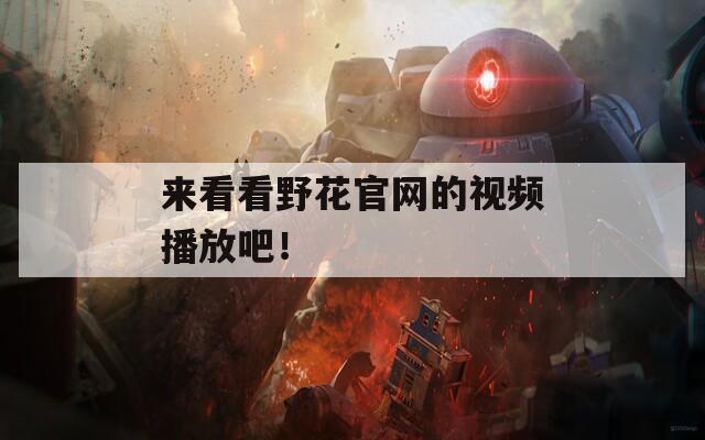 来看看野花官网的视频播放吧！