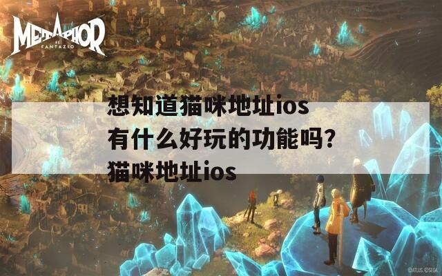 想知道猫咪地址ios有什么好玩的功能吗？猫咪地址ios