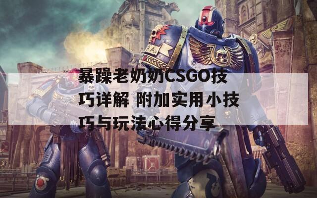 暴躁老奶奶CSGO技巧详解 附加实用小技巧与玩法心得分享