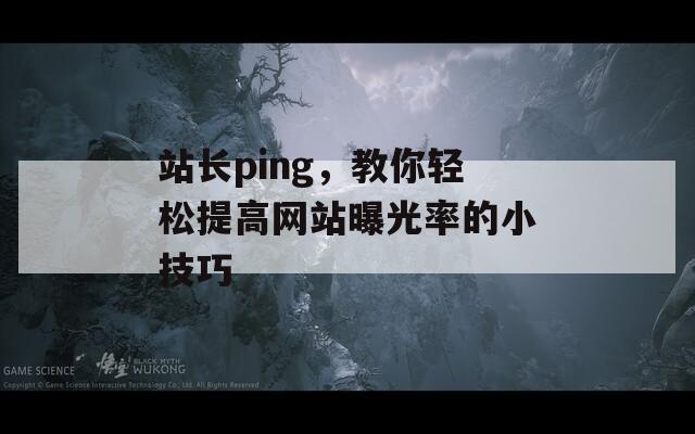 站长ping，教你轻松提高网站曝光率的小技巧