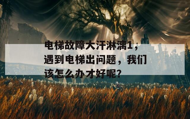 电梯故障大汗淋漓1，遇到电梯出问题，我们该怎么办才好呢？