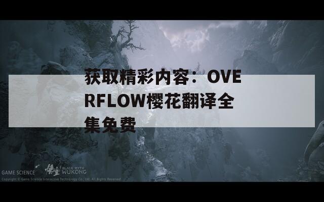 获取精彩内容：OVERFLOW樱花翻译全集免费
