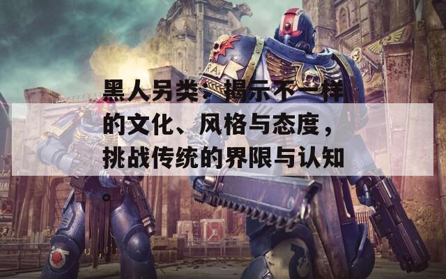 黑人另类：揭示不一样的文化、风格与态度，挑战传统的界限与认知。