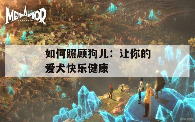 如何照顾狗儿：让你的爱犬快乐健康