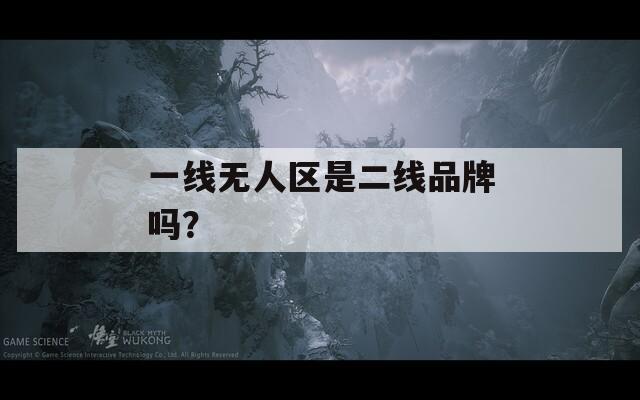 一线无人区是二线品牌吗？