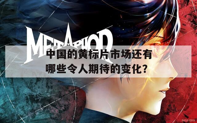 中国的黄标片市场还有哪些令人期待的变化？
