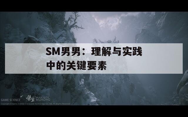 SM男男：理解与实践中的关键要素