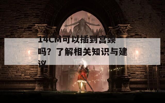 14CM可以插到宫颈吗？了解相关知识与建议