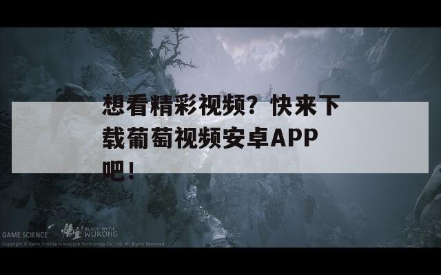 想看精彩视频？快来下载葡萄视频安卓APP吧！