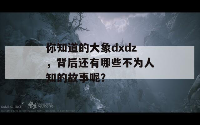 你知道的大象dxdz，背后还有哪些不为人知的故事呢？