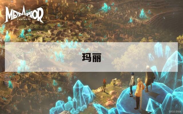 玛丽