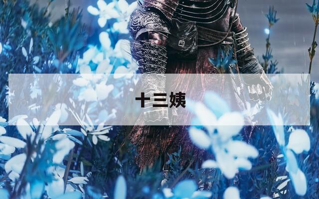 十三姨