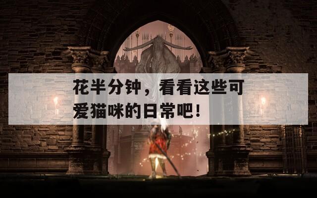 花半分钟，看看这些可爱猫咪的日常吧！