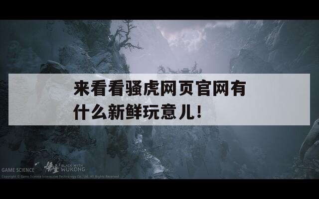 来看看骚虎网页官网有什么新鲜玩意儿！