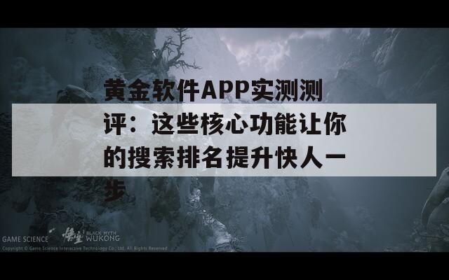 黄金软件APP实测测评：这些核心功能让你的搜索排名提升快人一步
