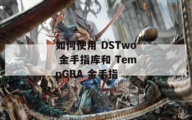 如何使用 DSTwo 金手指库和 TempGBA 金手指