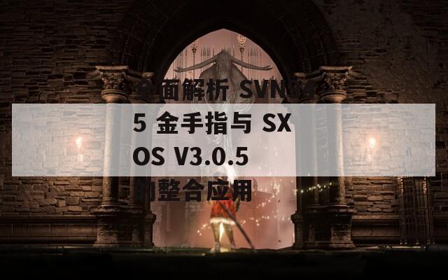 全面解析 SVN945 金手指与 SX OS V3.0.5 的整合应用