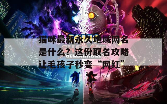 猫咪最新永久地域网名是什么？这份取名攻略让毛孩子秒变“网红”