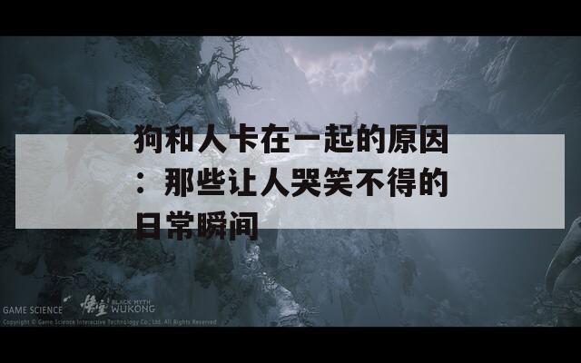 狗和人卡在一起的原因：那些让人哭笑不得的日常瞬间