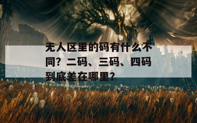无人区里的码有什么不同？二码、三码、四码到底差在哪里？