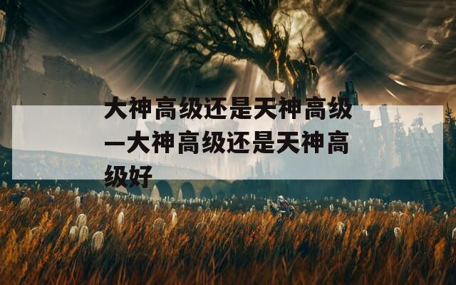 大神高级还是天神高级—大神高级还是天神高级好