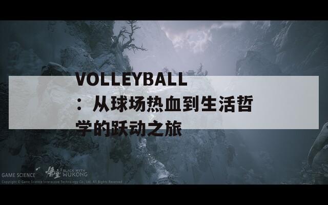 VOLLEYBALL：从球场热血到生活哲学的跃动之旅