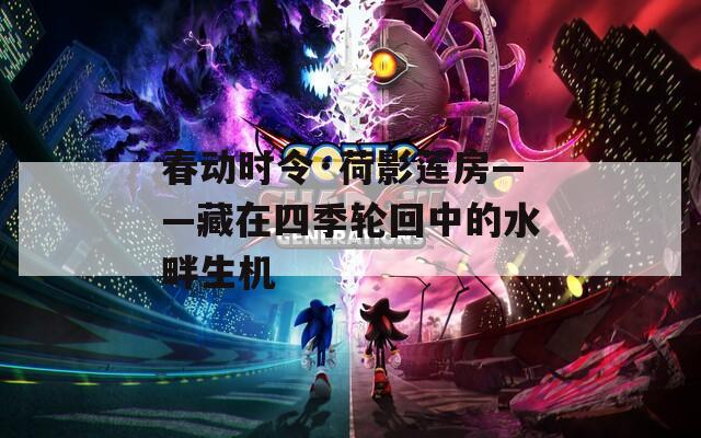 春动时令·荷影莲房——藏在四季轮回中的水畔生机