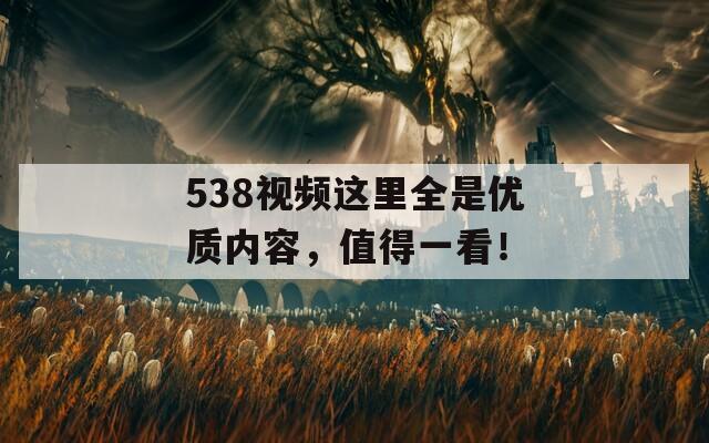 538视频这里全是优质内容，值得一看！