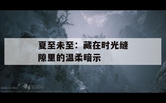 夏至未至：藏在时光缝隙里的温柔暗示