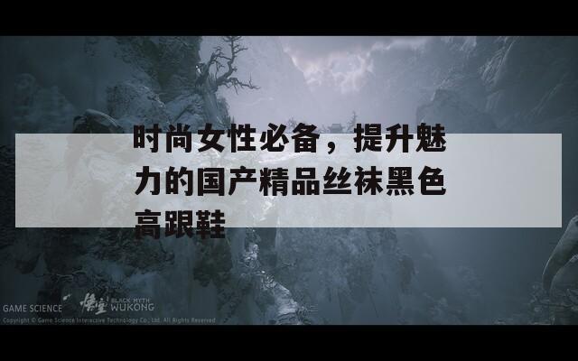 时尚女性必备，提升魅力的国产精品丝袜黑色高跟鞋