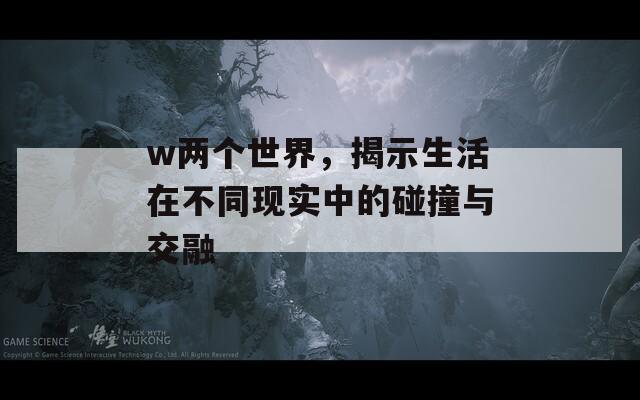 w两个世界，揭示生活在不同现实中的碰撞与交融