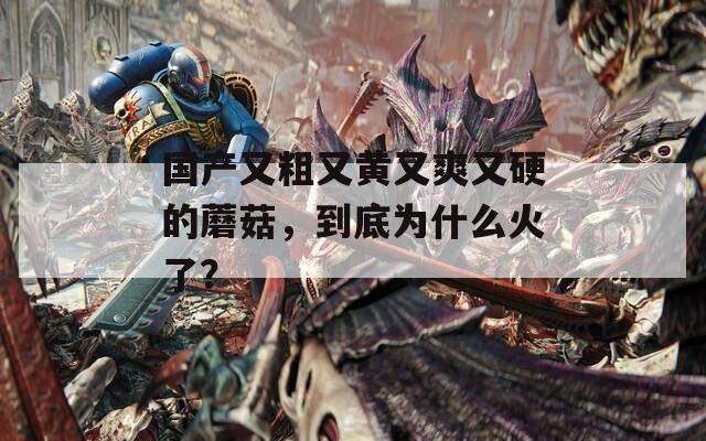 国产又粗又黄又爽又硬的蘑菇，到底为什么火了？