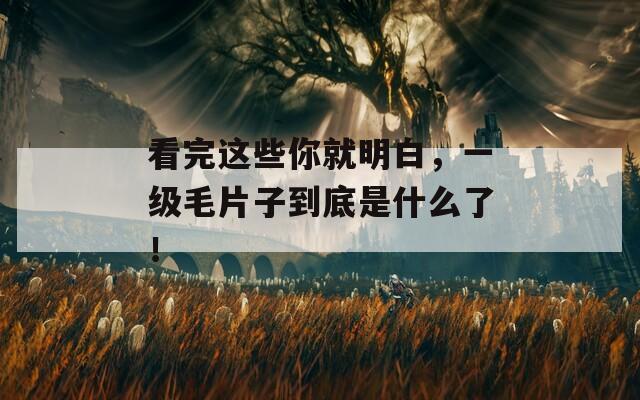 看完这些你就明白，一级毛片子到底是什么了！