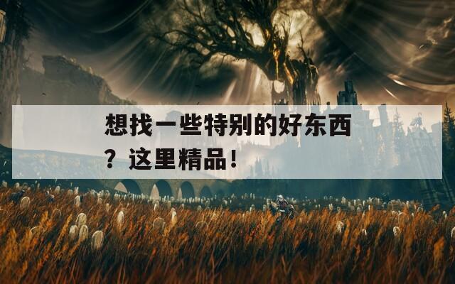 想找一些特别的好东西？这里精品！