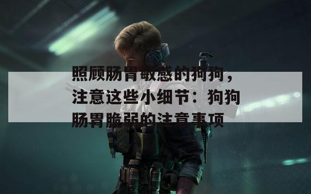 照顾肠胃敏感的狗狗，注意这些小细节：狗狗肠胃脆弱的注意事项