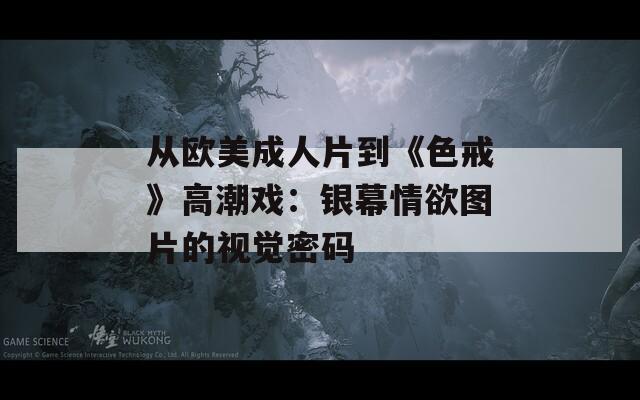 从欧美成人片到《色戒》高潮戏：银幕情欲图片的视觉密码