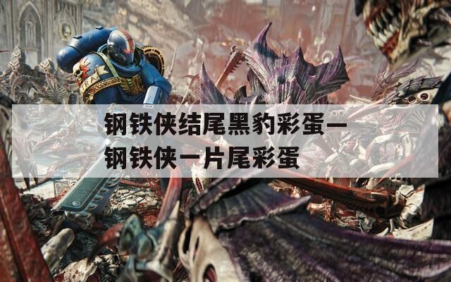 钢铁侠结尾黑豹彩蛋—钢铁侠一片尾彩蛋