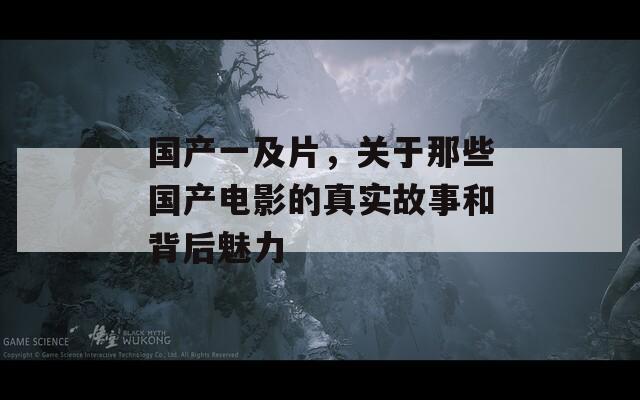 国产一及片，关于那些国产电影的真实故事和背后魅力