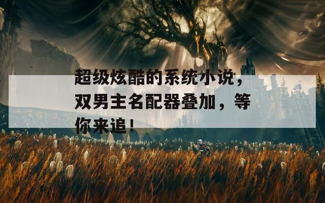 超级炫酷的系统小说，双男主名配器叠加，等你来追！